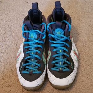 Nike Foamposite "Weatherman"